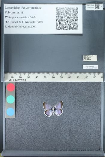 Media type: image;   Entomology 155553